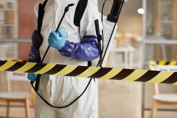 Professional Sewage Cleanup technician working in Brentwood, MD